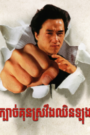 The Legend of Drunken Master
