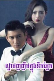 ស្នាមញញឹមក្នុងទឹកភ្នែក (42Eps) – Destined to Love You