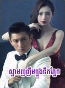 ស្នាមញញឹមក្នុងទឹកភ្នែក (42Eps) – Destined to Love You