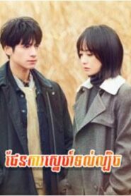 ផែនការស្នេហ៍ទល់ល្បិច (64 Eps) – Broker