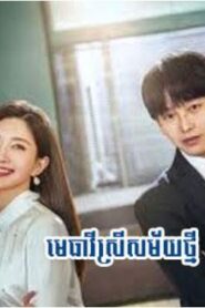 មេធាវីស្រីសម័យថ្មី (40Eps) – Lady of Law