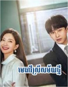 មេធាវីស្រីសម័យថ្មី (40Eps) – Lady of Law
