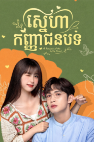 ស្នេហាកញ្ញាជនបទ (35Eps)- A Romance of the Little Forest