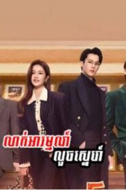 លាក់អារម្មណ៍លួចស្នេហ៍ (36 Eps) – Only for Love