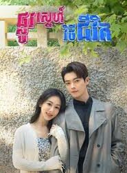 ផ្លូវស្នេហ៍វិថីជីវិត​(37Eps) – Best Choice Ever