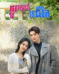 ផ្លូវស្នេហ៍វិថីជីវិត​(37Eps) – Best Choice Ever